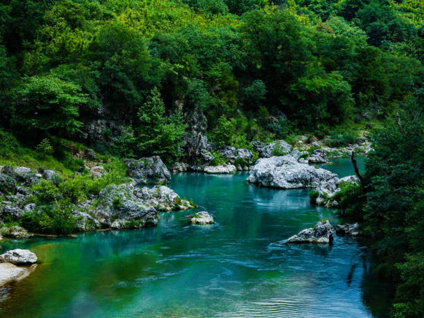 istock River in the mountain area of Tapelene 2155492745