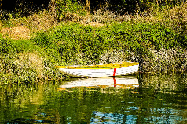 Cambridge, Massachusetts, USA - July 24, 2024: Close-up of a woman rower in a single red scull boat on the Charles River.