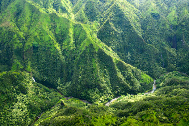 istock Aerial view of Kauai 2155496107
