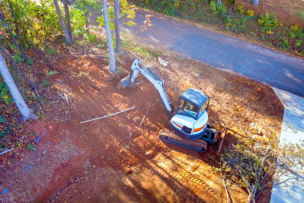 Tractor uproots trees during construction in order to clear land for building