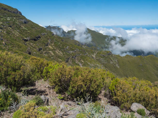 istock View over the mountains and Atlantic Ocean above the clouds at hiking trail PR1.2 from Achada do Teixeira to Pico Ruivo, the highest peak in the Madeira, Portugal 2155496603