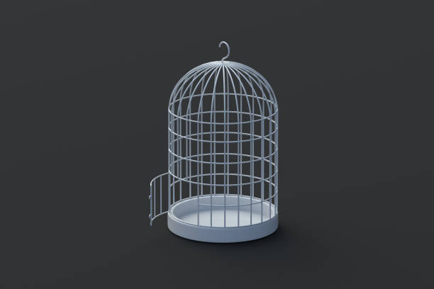 istock Open birdcage on black background. Vintage wire cage for bird. 3d render 2155497765