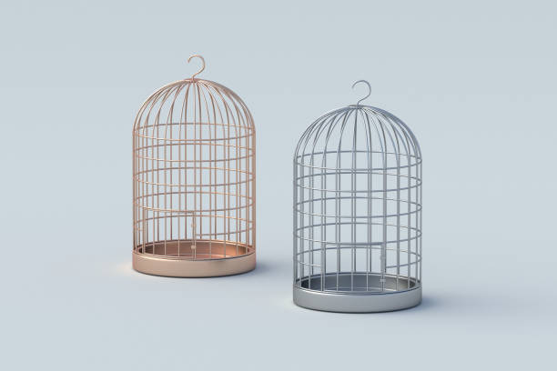 istock Two birdcages on gray background. Vintage wire cage for bird. 3d render 2155497771