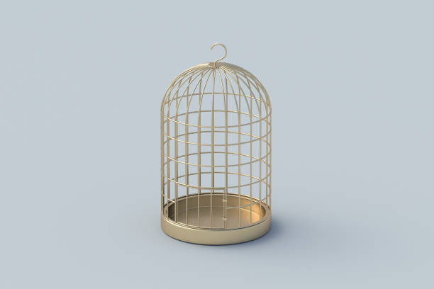 Golden birdcage on gray background. Vintage wire cage for bird. 3d render