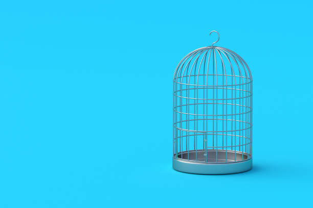 istock Birdcage on gray background. Vintage wire cage for bird. Copy space. 3d render 2155497779