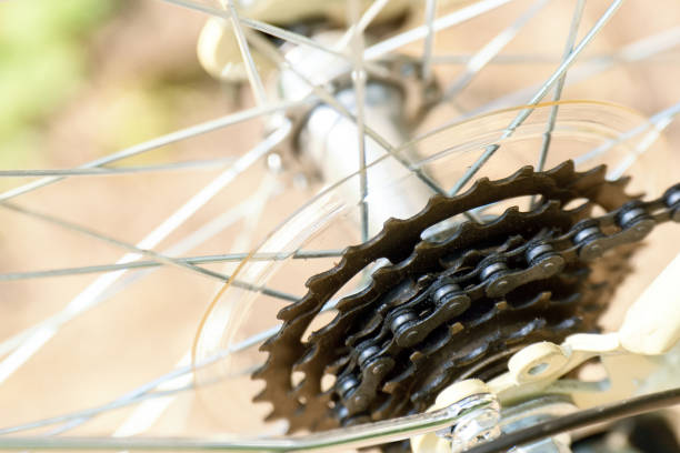 Bicycle rear wheel with a detailed gear shift mechanism