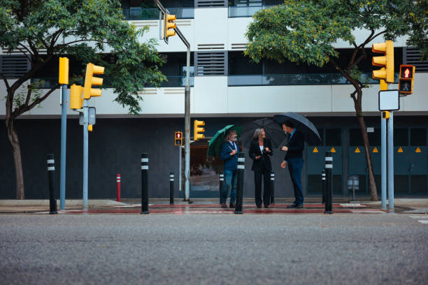 Three colleagues are outside in the street waiting for the green light on the crosswalk with umbrellas.
