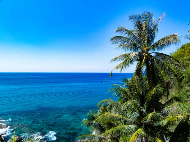 Amazing tropical seashore landscape background