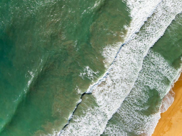 istock Top view beach with waves crashing on sandy shore,Beautiful waves sea surface in summer seascape background,Amazing beach colorful water background 2155515996
