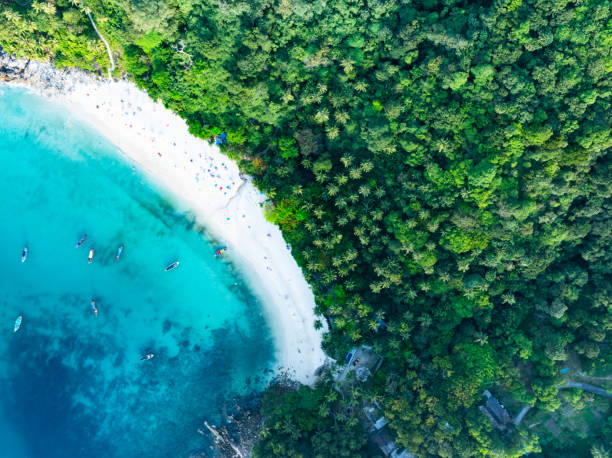 istock Amazing tropical seashore landscape background 2155516022