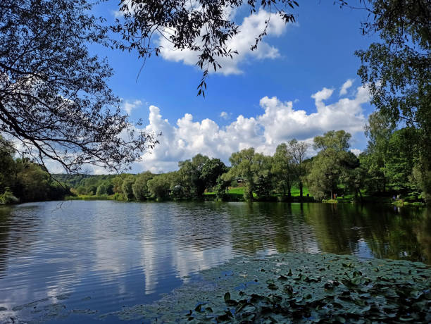istock A pond in Yasnaya Polyana 2155518479
