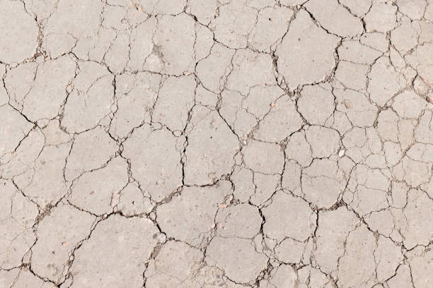 Ground texture. Rough, dry, cracked soil. Color of the Year Mocha Mousse.
