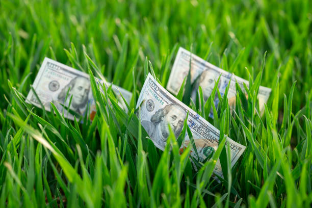 Concept of growing income as a result of farming, concept of agriculture and finances