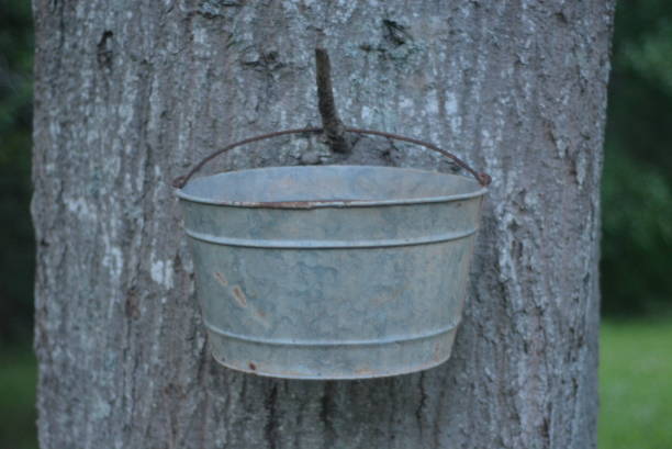 istock Metal Water Bucket 2155529069