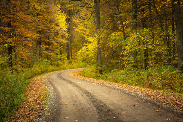 istock A bend on the dirt road in the autumn forest 2155529330