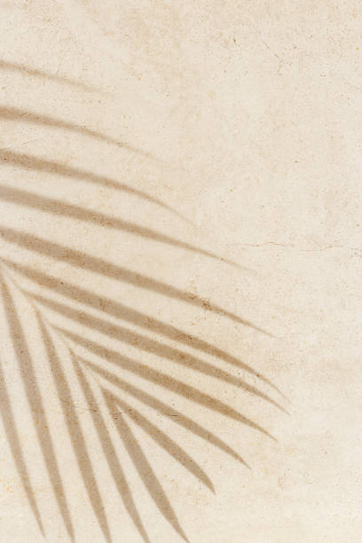 istock Summer background, top view sun shadow from palm leaf on sandy colored background. Summer aesthetic photo beige colored, copy space, nobody, vacation and relaxation concept. Abstract top view 2155529707