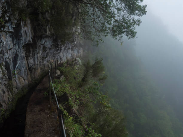 istock narrow footpath along levada, water irrigation channel with dense tropical forest plants and vegetation. Levada Caldeirao Verde and Caldeirao do Inferno hiking trail, Madeira island, Portugal 2155533458
