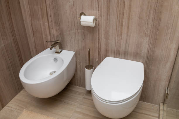 istock Clean lines: a modern toilet and bidet in the bathroom 2155533512