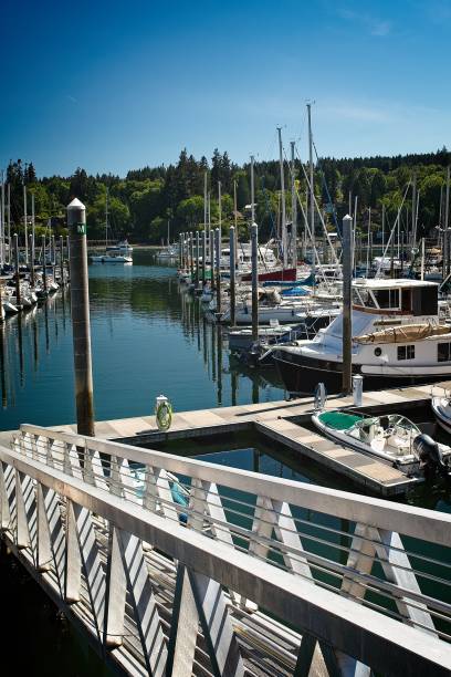 istock Serene Marina with Docked Boats 2155534747
