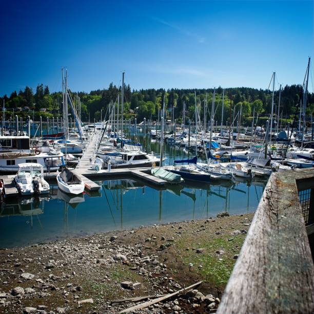 istock Boats docked at a marina on a sunny day 2155534768