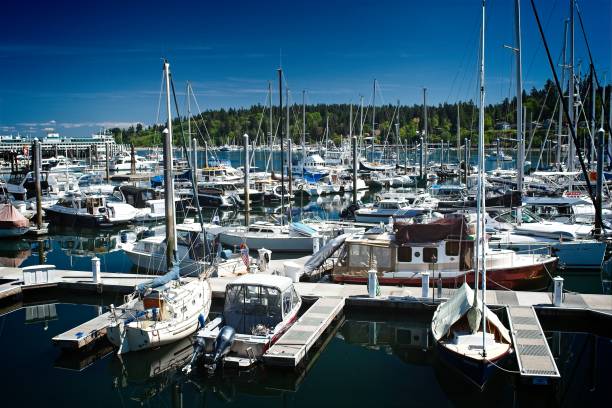 istock Boats docked at a marina on a sunny day 2155534834