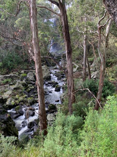istock Lower Ebor Falls, Guy Fawkes River 2155536651