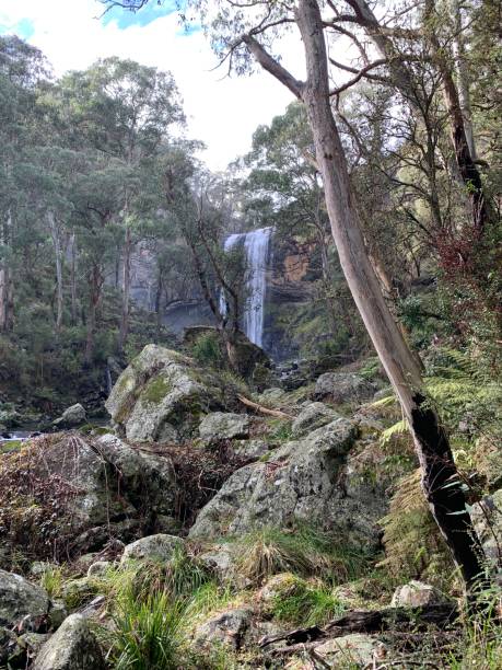 istock Lower Ebor Falls, Guy Fawkes River 2155536705
