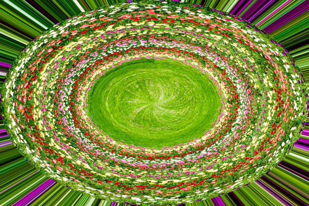 Image of a tulip field from above, post processed for an abstract look