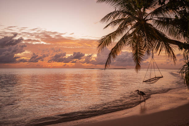istock Romance tropical beach and ocean in dramatic sky at sunset 2155538527