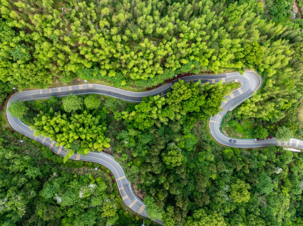 istock Winding mountain road with green forest overlooking 2155540105