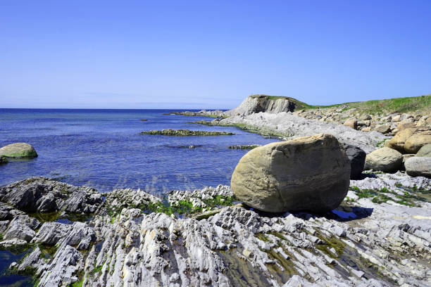 istock Outcrop by the seaside 2155543240