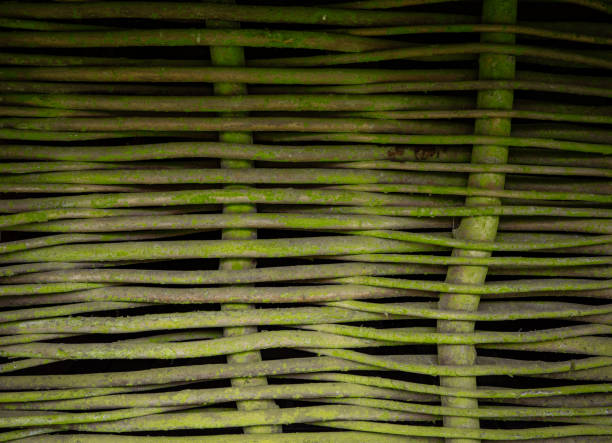 ancient house wall made of twigs of tree branches