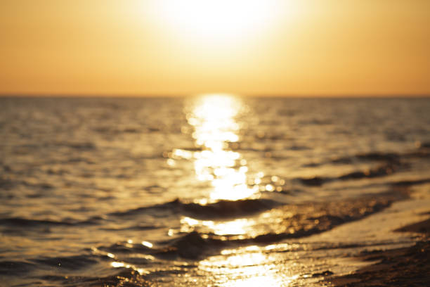 Defocused background, sunset over the ocean with the sun reflecting on the water, creating a golden pathway, waves gently lapping the shore on a peaceful evening