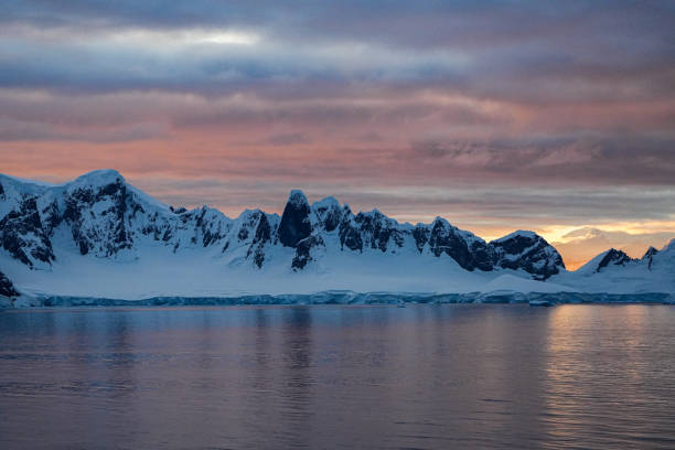 istock Humpback whale in sunset from Antarctica 2155550148