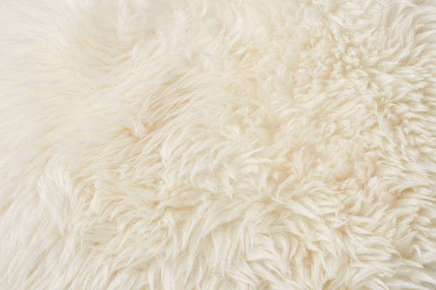 istock close-up of beige fluffy fabric 2155552441