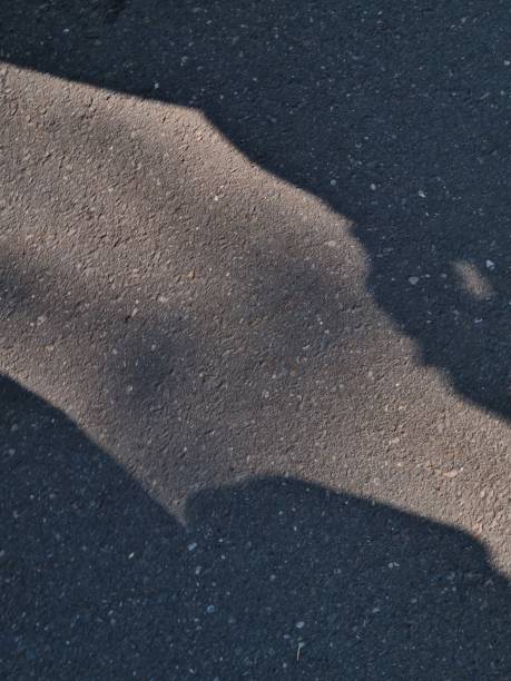 Lise, Netherland - Apr 29, 2024: Shadow of two persons on an asphalt surface during sunny midday