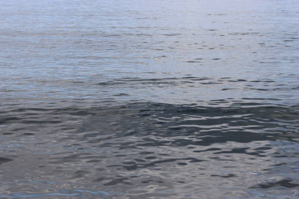 Gentle ripples on a calm sea