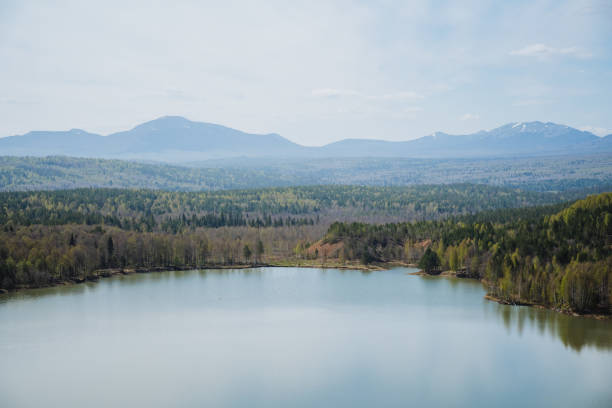 A serene lake is nestled in the heart of a lush forest, with majestic mountains towering in the background, creating a stunning natural landscape