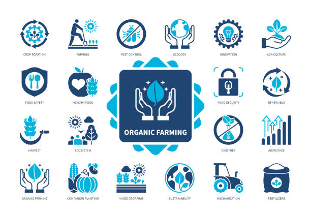 organic-farming-solid-icon-set