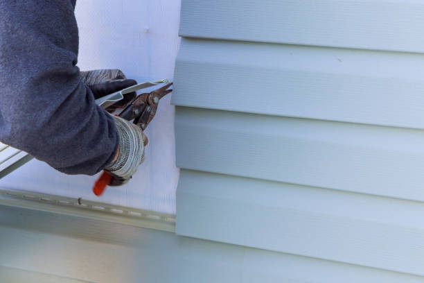 istock During exterior house renovations, damaged plastic siding is a replaced 2155561243