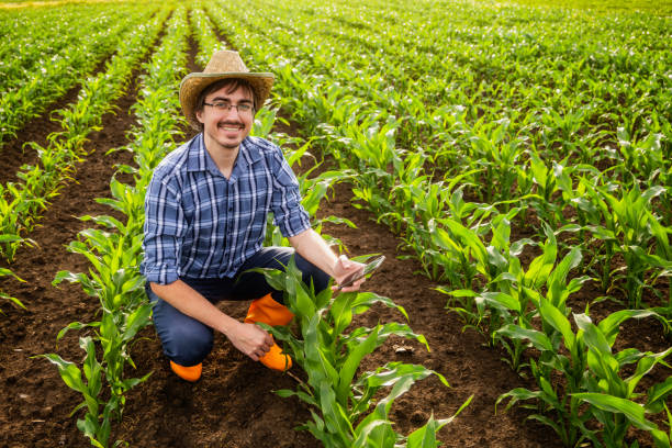 istock Farmer in his agricultural field 2155562953