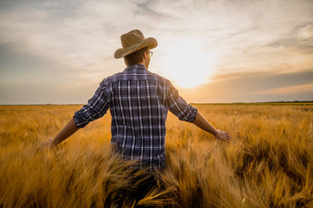 istock Farmer in his agricultural field 2155563095