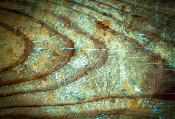 Old dirty wood texture and background for text or design. Selective focus.