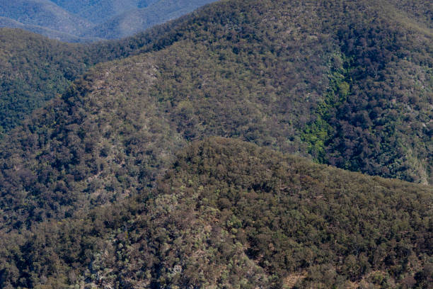istock Kanangra-Boyd National Park, NSW 2155579072