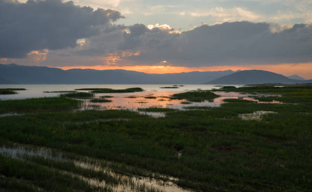 istock Marsh vegetation and lake view in the evening. 2155582170