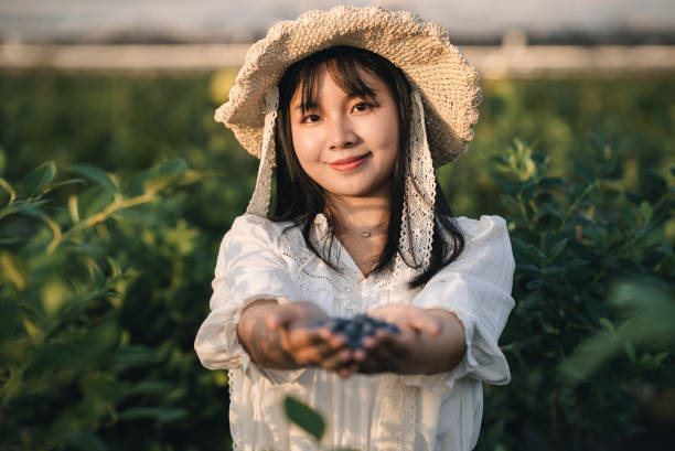 istock cupped hands is a heap of fresh wild blueberries 2155586294