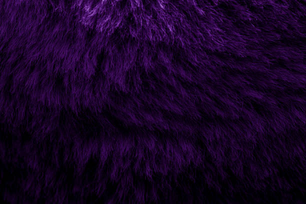 istock purple velour plush cloth textured background 2155588257