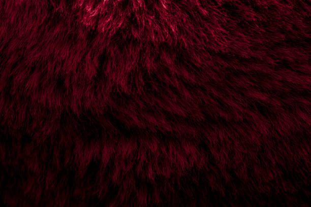 istock red velour plush cloth textured background 2155588271