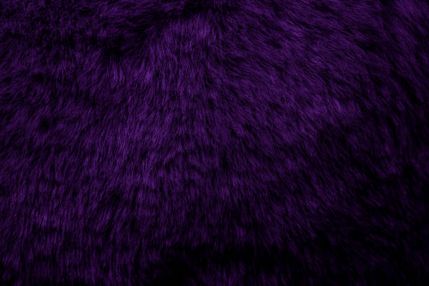 purple  velour plush cloth textured background for design purpose
