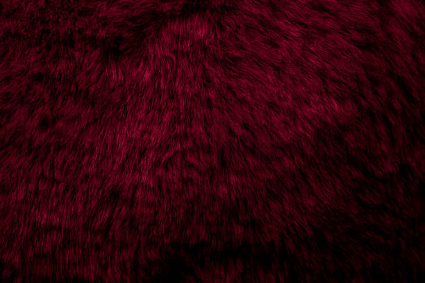 istock red velour plush cloth textured background 2155588599